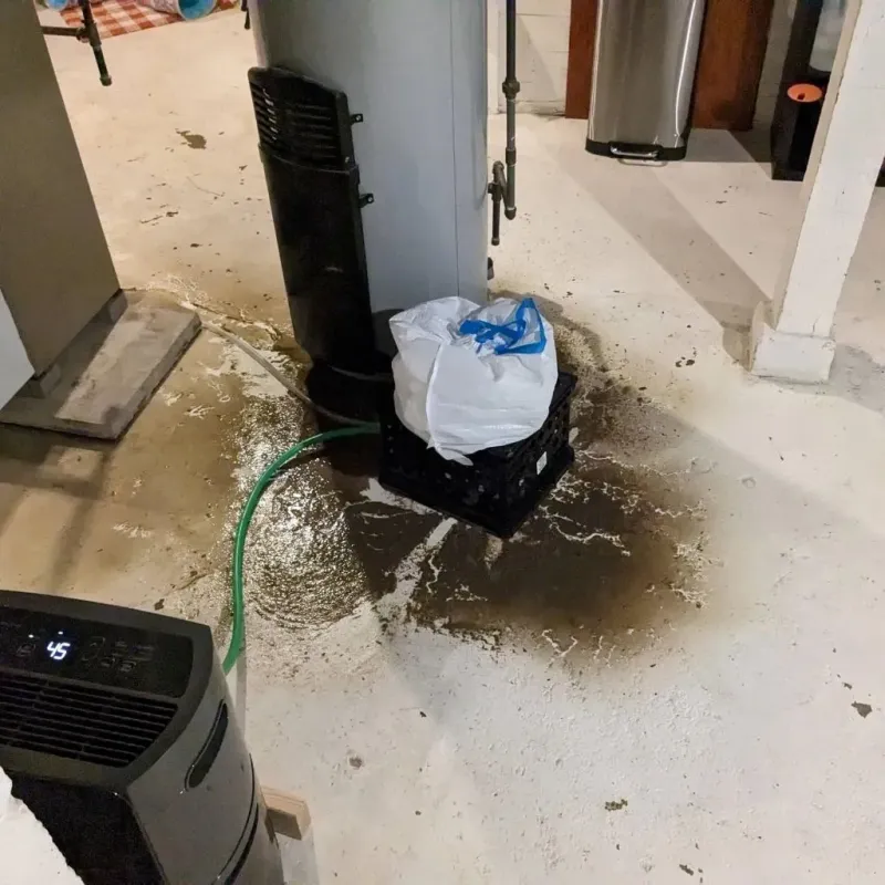 Sewage Backup Cleanup Service in Compton, CA